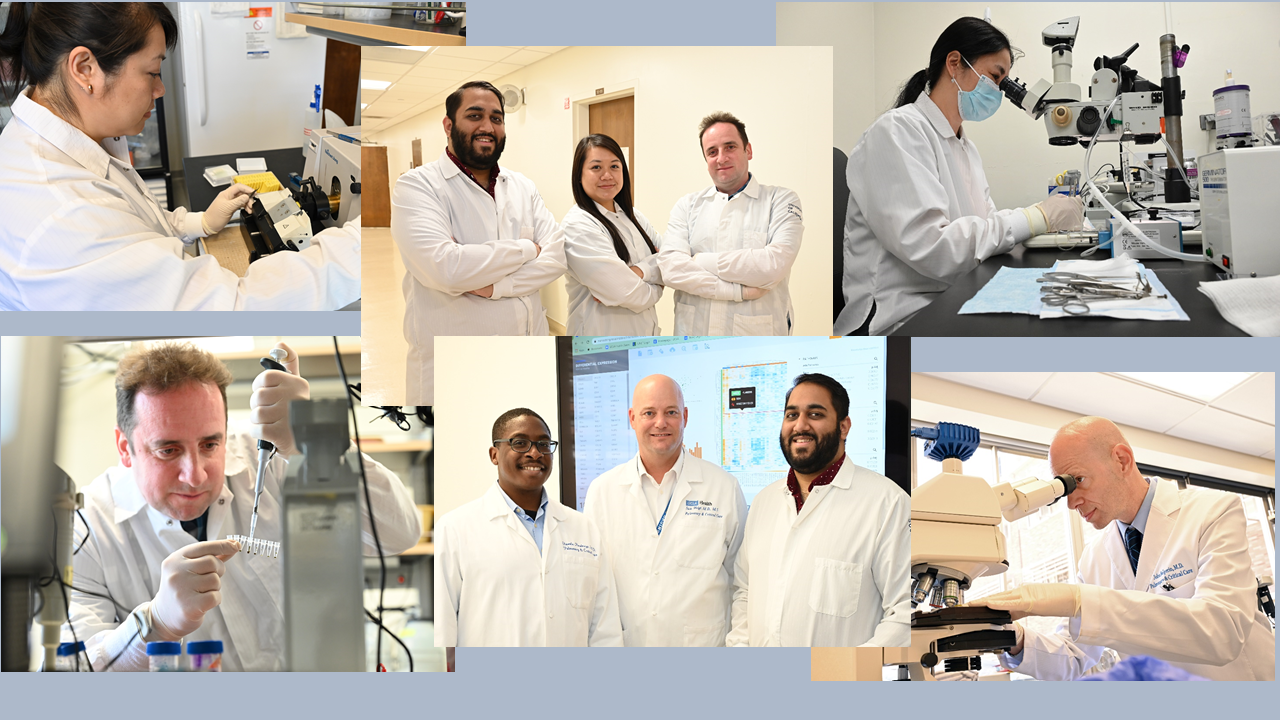 Lab_collage_1_cropped.png