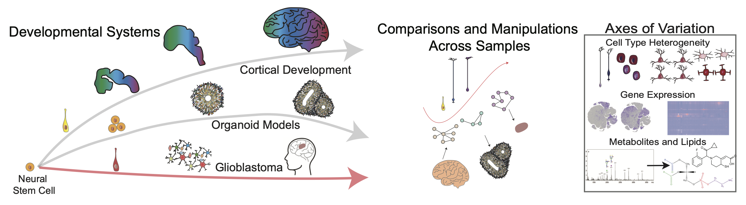 Overview Figure